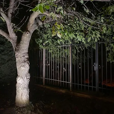 Luxury Seaside With Jacuzzi & Garden -