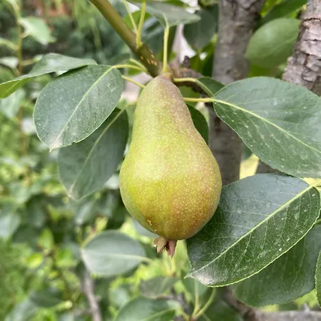 Luxury Seaside With Jacuzzi & Garden -