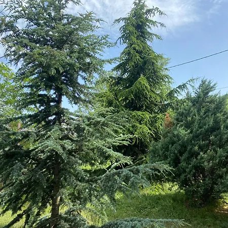 Luxury Seaside With Jacuzzi & Garden - Warna