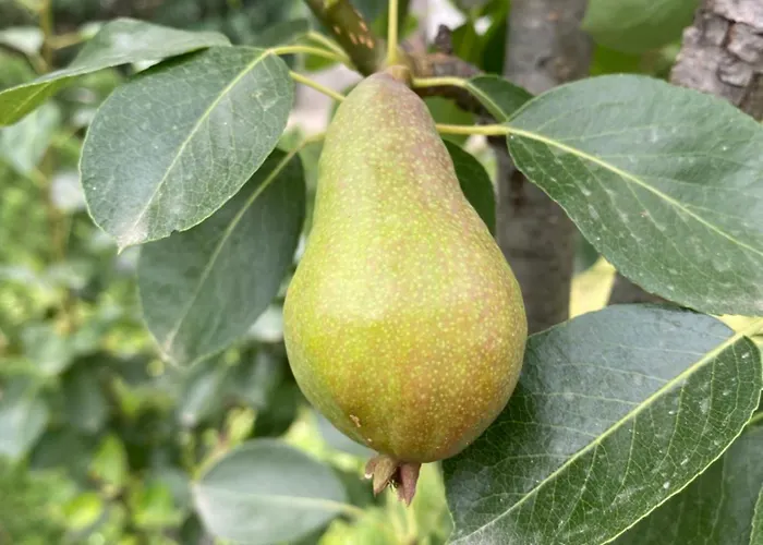 Luxury Seaside With Jacuzzi & Garden -