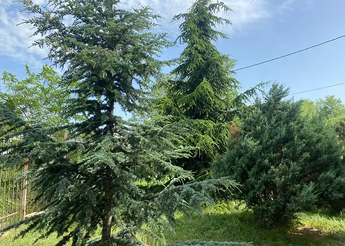 Luxury Seaside With Jacuzzi & Garden - Várna