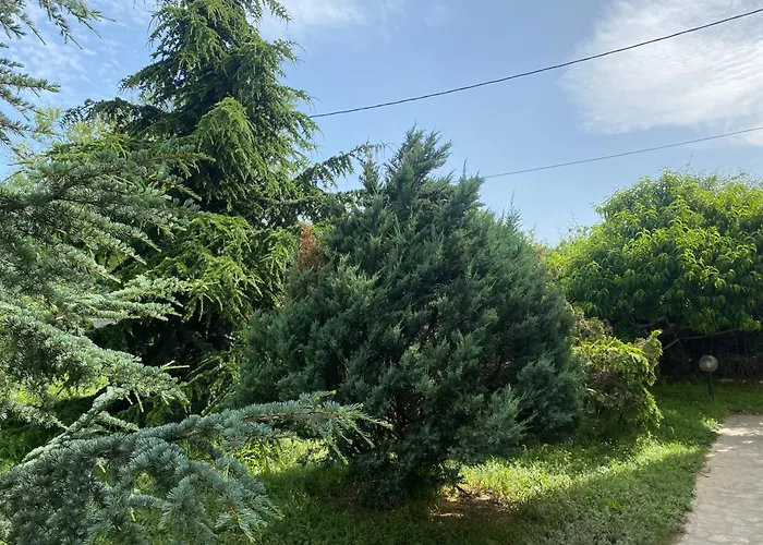 Luxury Seaside With Jacuzzi & Garden - Holiday home