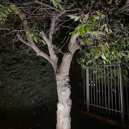 Luxury Seaside With Jacuzzi & Garden - Varna