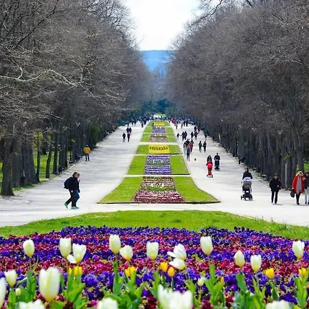 Tatil Evi Luxury Seaside With Jacuzzi & Garden - Varna