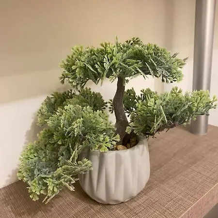 Luxury Seaside With Jacuzzi & Garden - Tatil Evi Varna