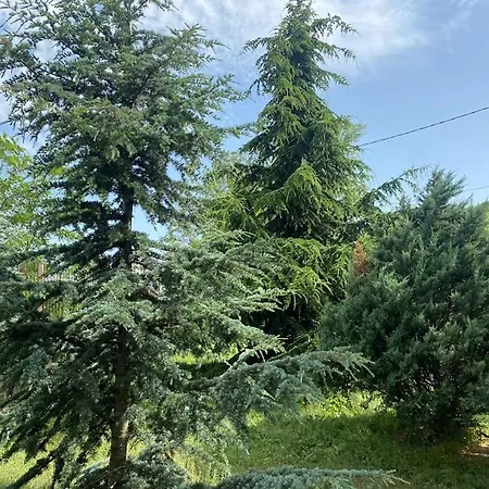 A Beautiful In Holiday home *
