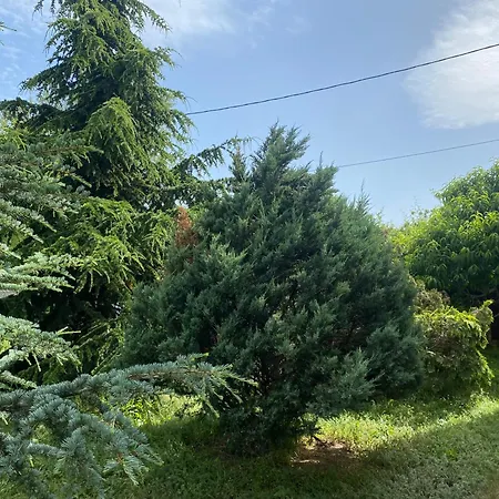 Luxury Seaside With Jacuzzi & Garden - Tatil Evi